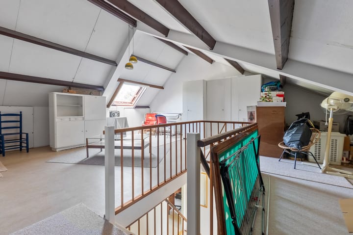 Foto 47 van Korenbloem 10