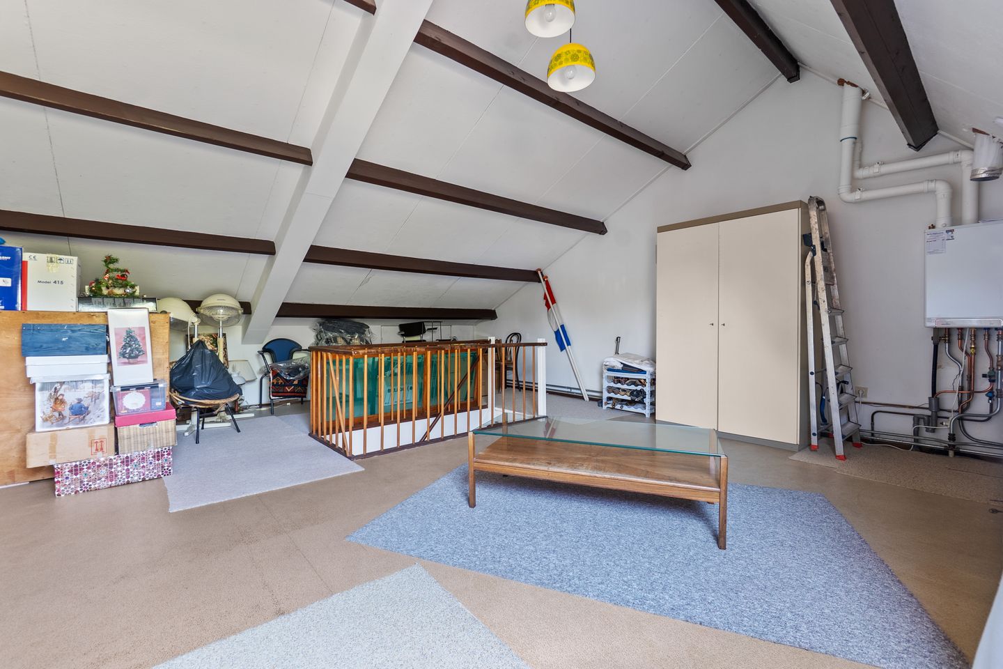 Foto 50 van Korenbloem 10