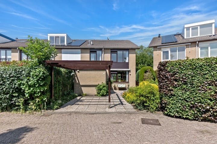 Foto 52 van Korenbloem 10