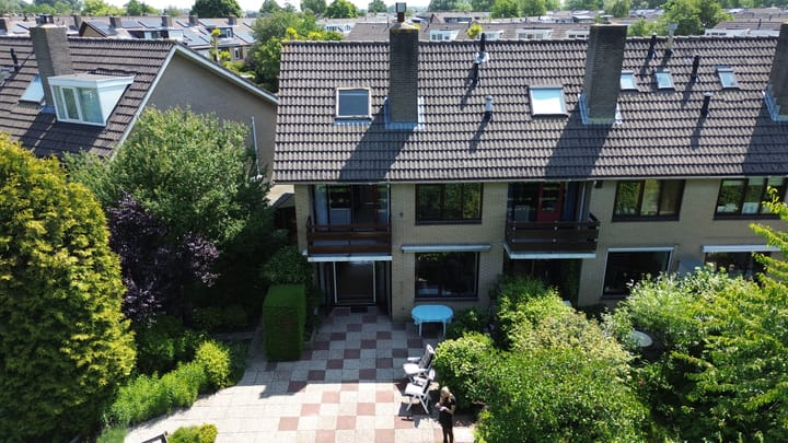 Foto 53 van Korenbloem 10