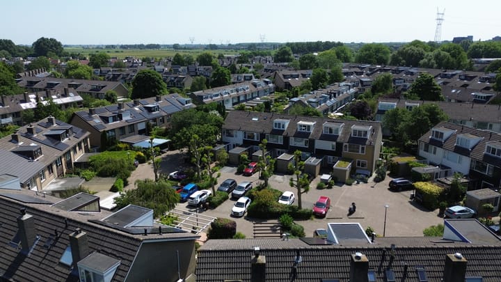 Foto 54 van Korenbloem 10