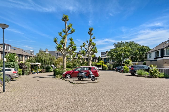 Foto 55 van Korenbloem 10