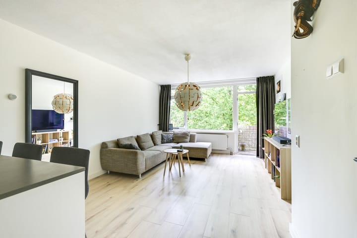 Photo 8 of Furkabaan 699