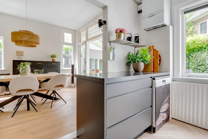 Foto 27 van Prins Hendriklaan 111