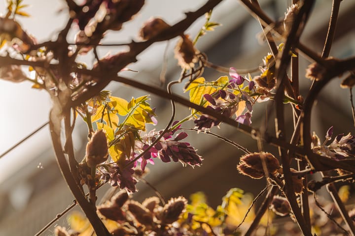 Foto 8 van Daniël Stalpertstraat 37