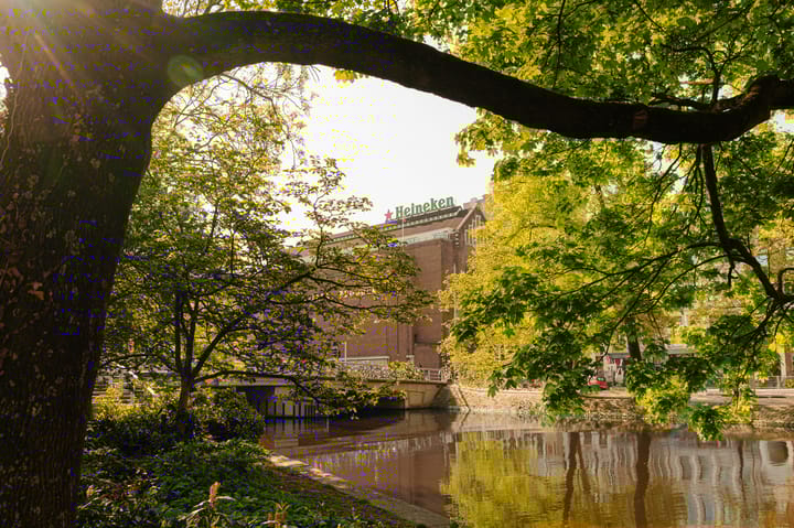 Foto 31 van Daniël Stalpertstraat 37