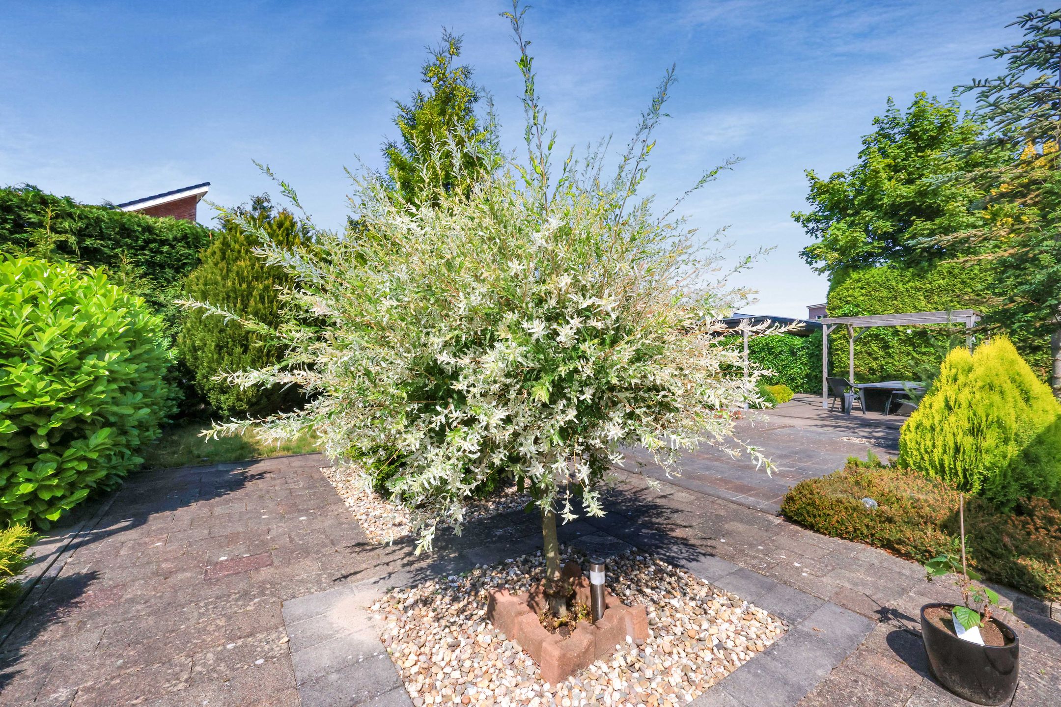 Foto 45 van Marquette 110