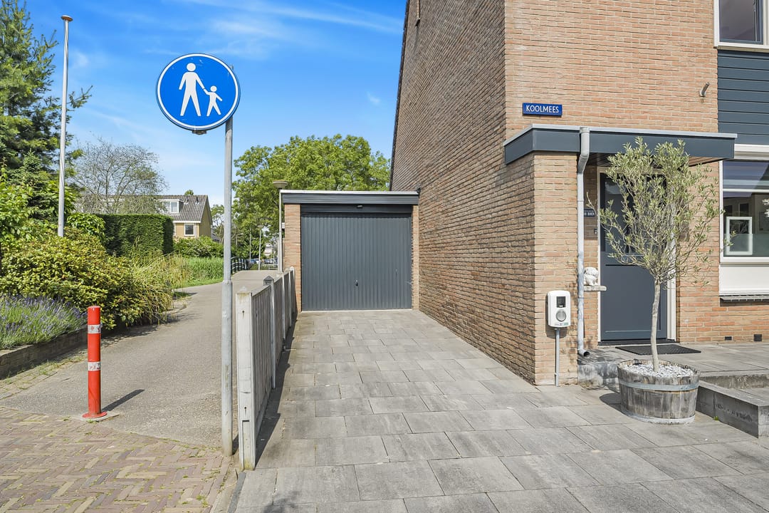 Foto 2 van Koolmees 62