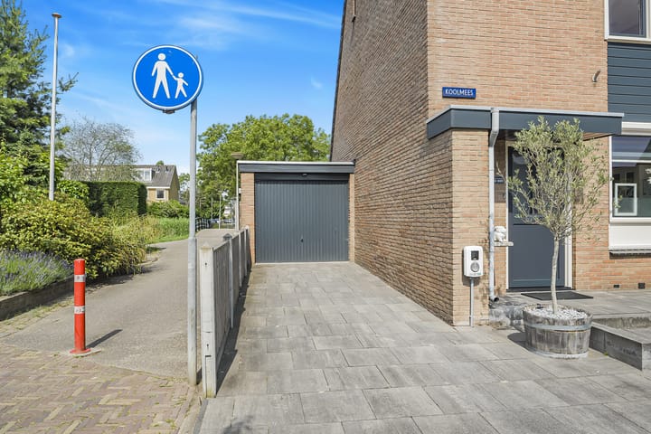 Foto 2 van Koolmees 62