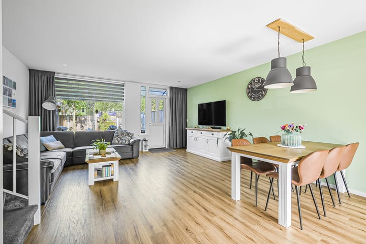 Foto 3 van Koolmees 62