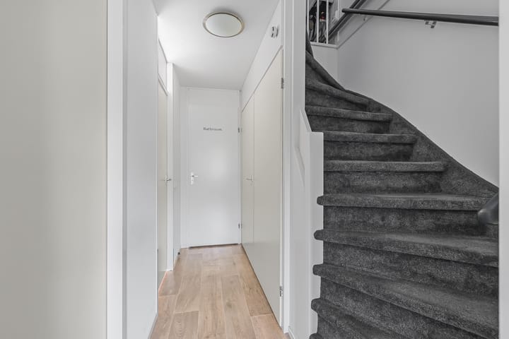 Foto 9 van Koolmees 62