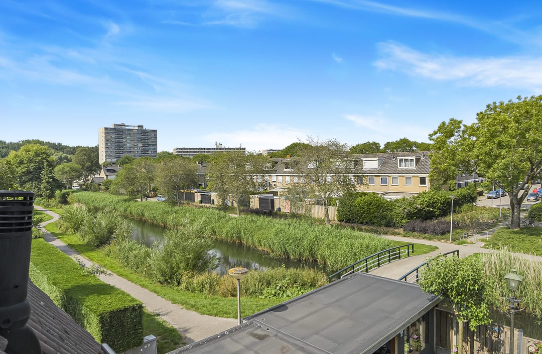 Foto 22 van Koolmees 62