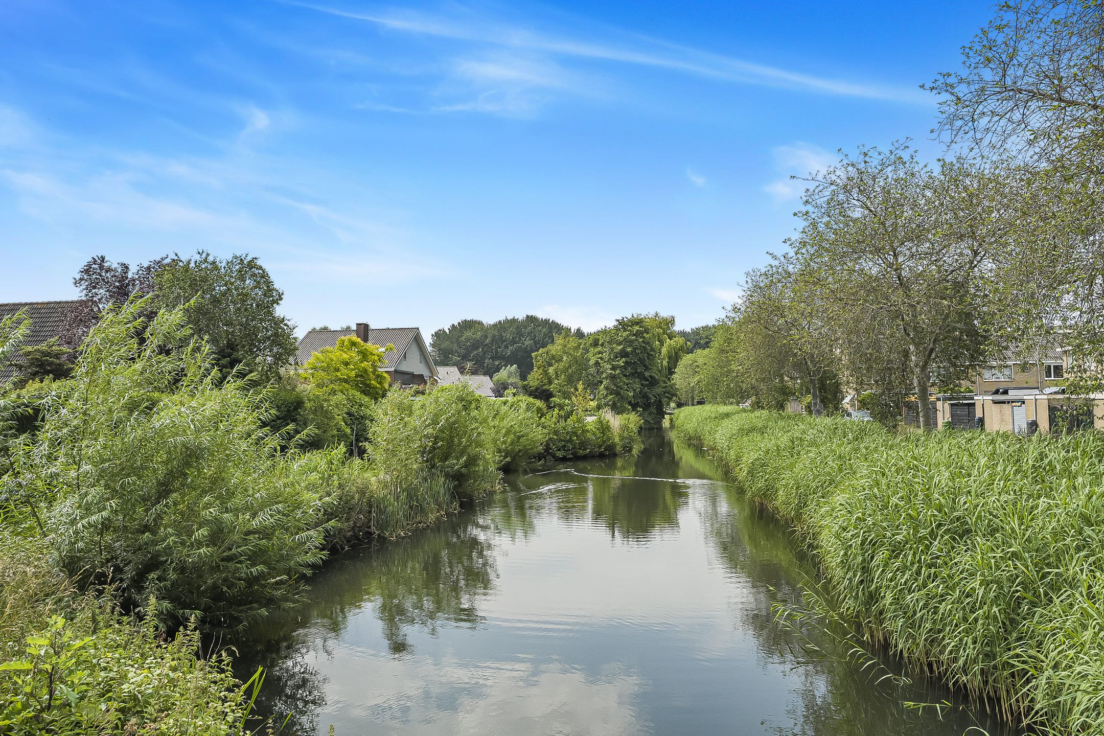 Foto 30 van Koolmees 62