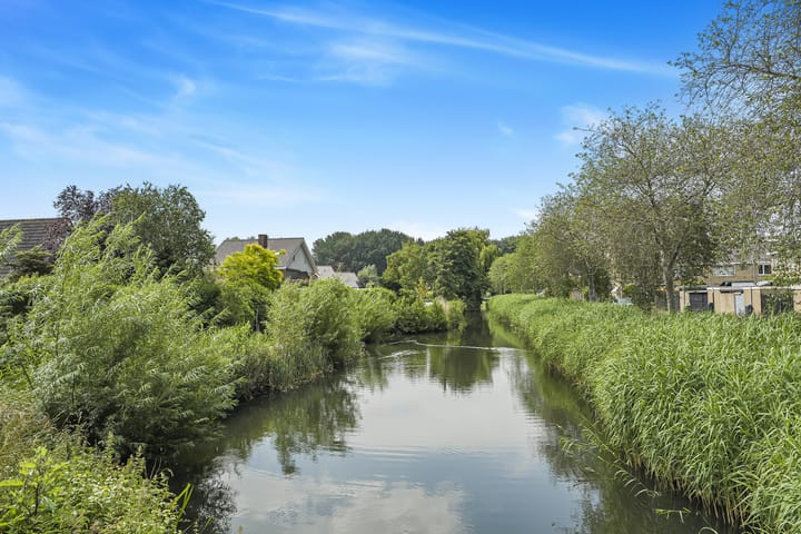 Foto 30 van Koolmees 62