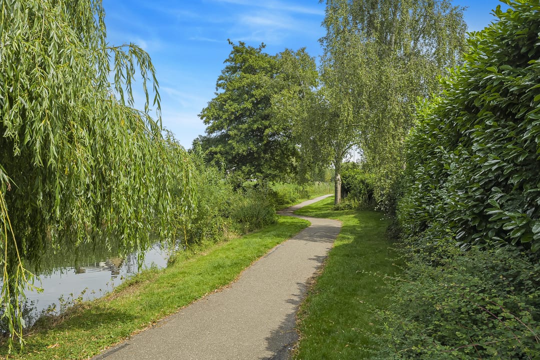 Foto 31 van Koolmees 62