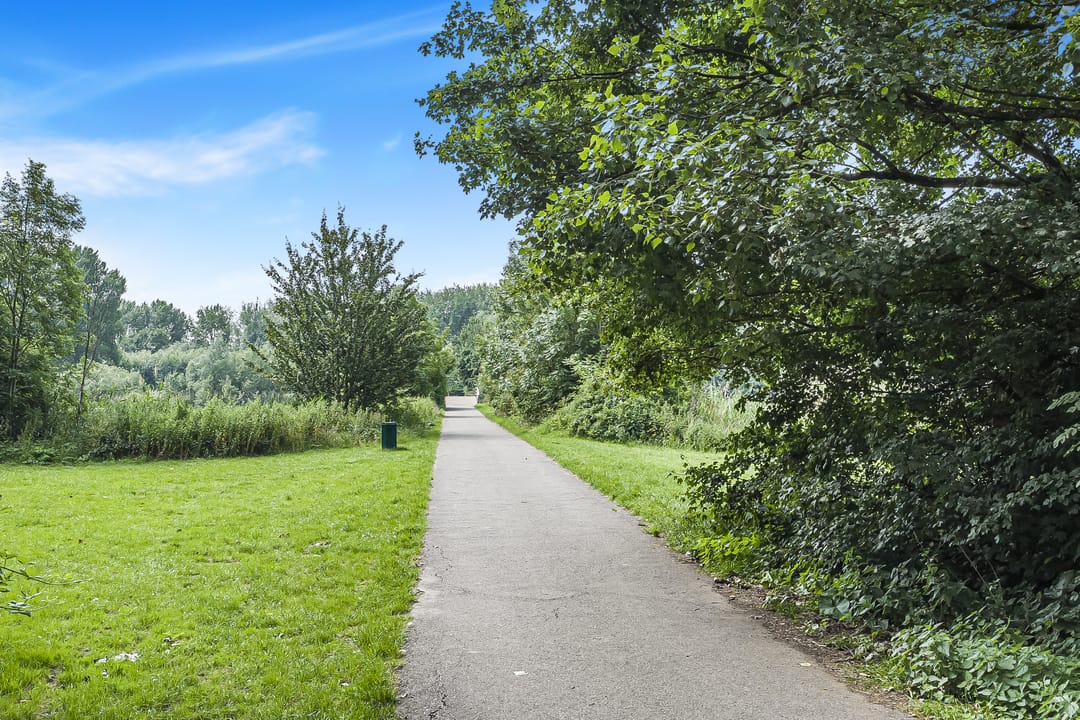 Foto 32 van Koolmees 62