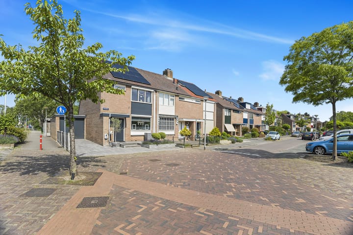 Foto 35 van Koolmees 62