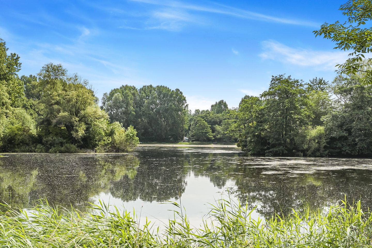 Foto 34 van Koolmees 62