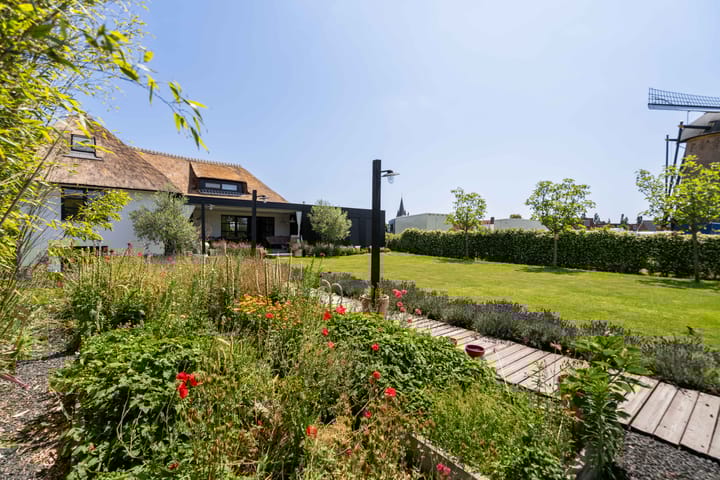 Foto 5 van Molenpad 5