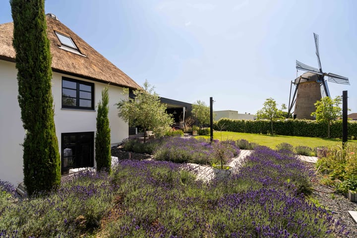 Foto 56 van Molenpad 5