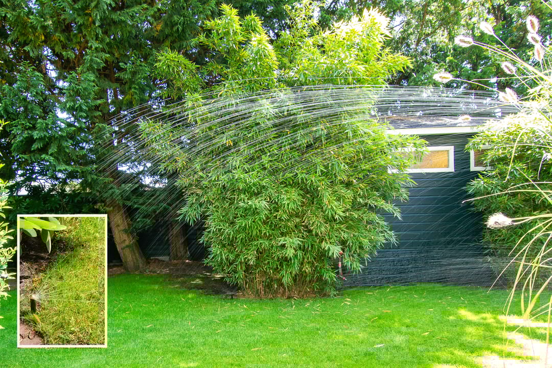 Photo 26 of Militairenweg 17