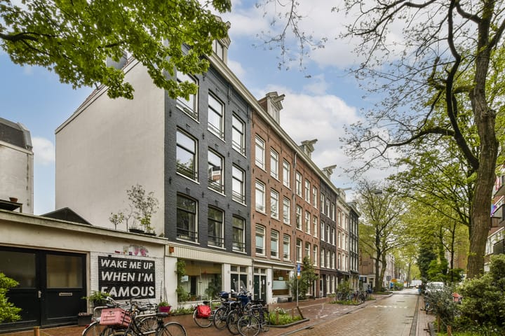 Foto 3 van Frans Halsstraat 48-3