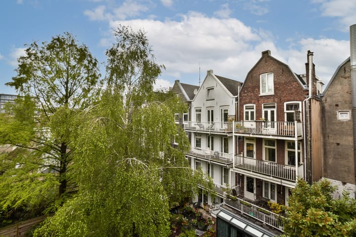 Foto 21 van Frans Halsstraat 48-3