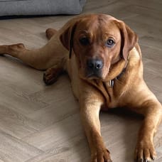 Benthe - Officemanager