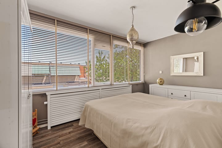 Foto 19 van Driedistel 9