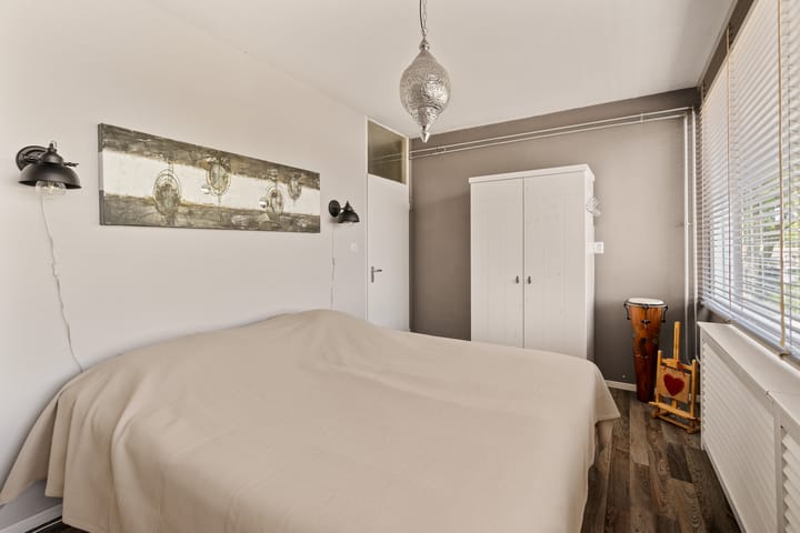 Foto 20 van Driedistel 9