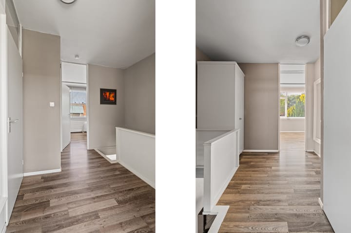 Foto 21 van Driedistel 9