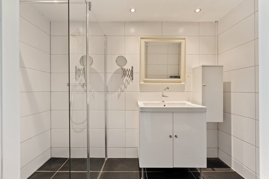 Foto 22 van Driedistel 9