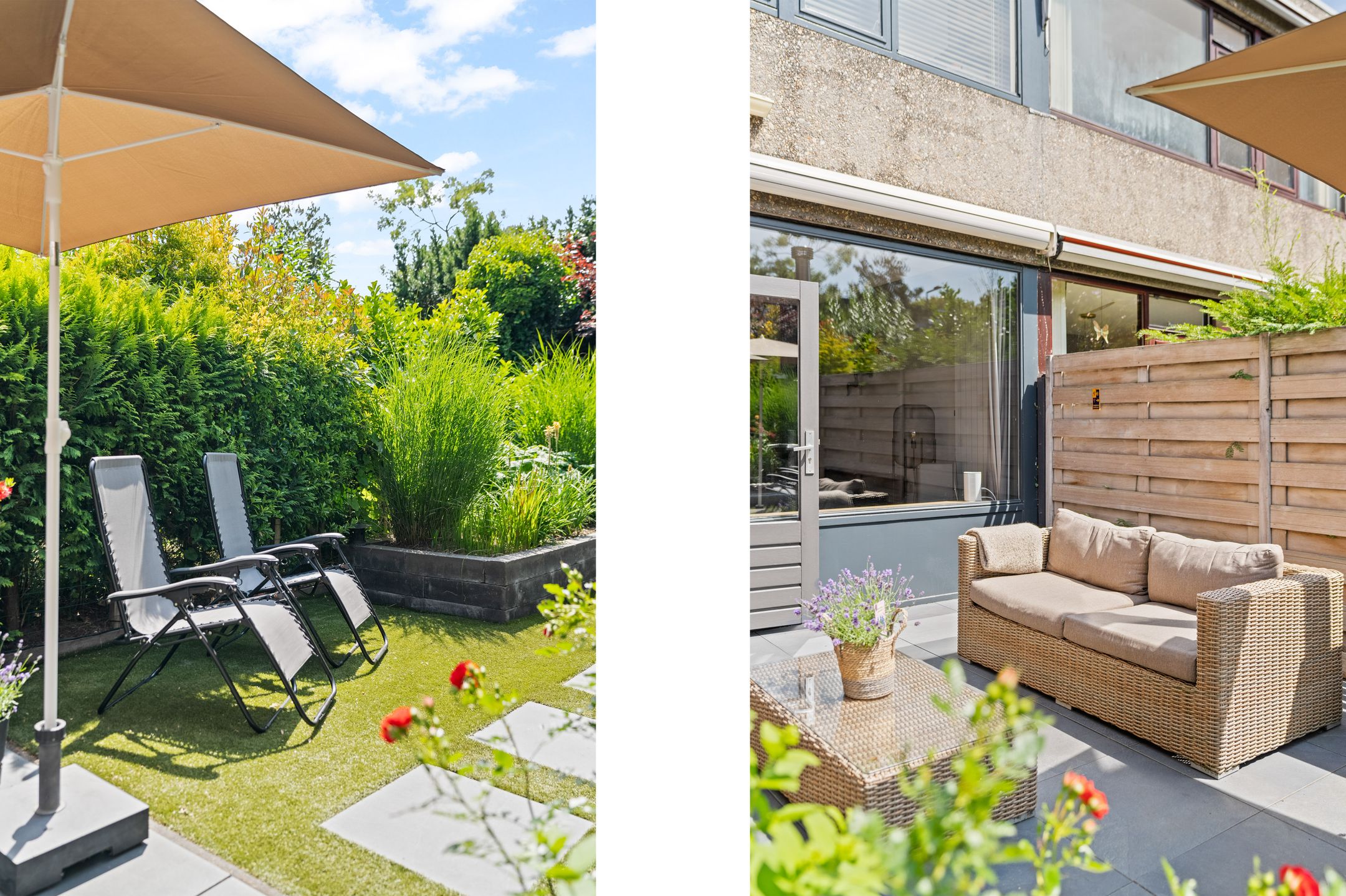 Foto 27 van Driedistel 9