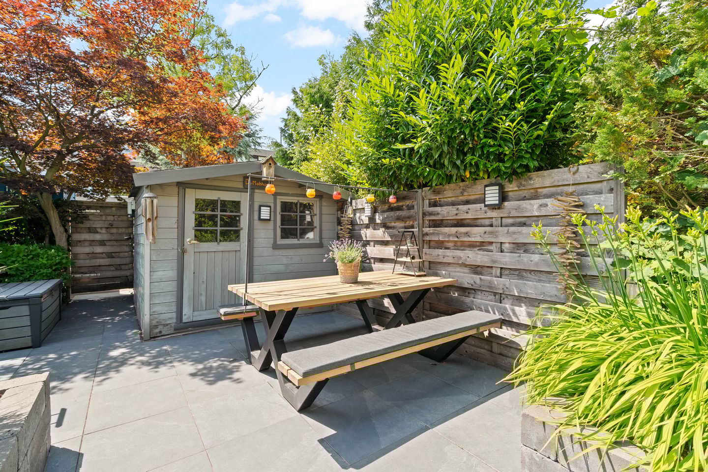 Foto 29 van Driedistel 9