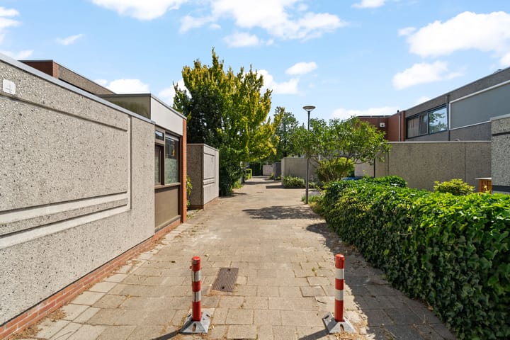 Foto 31 van Driedistel 9