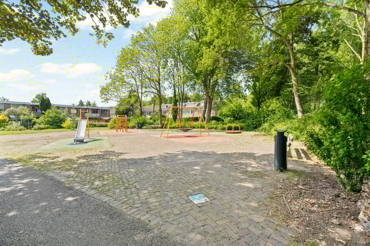 Foto 32 van Driedistel 9