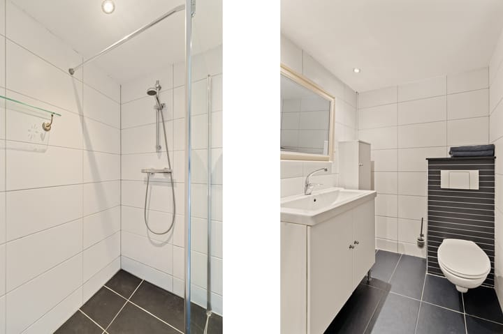 Foto 23 van Driedistel 9