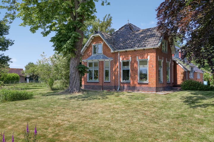 undefined main image