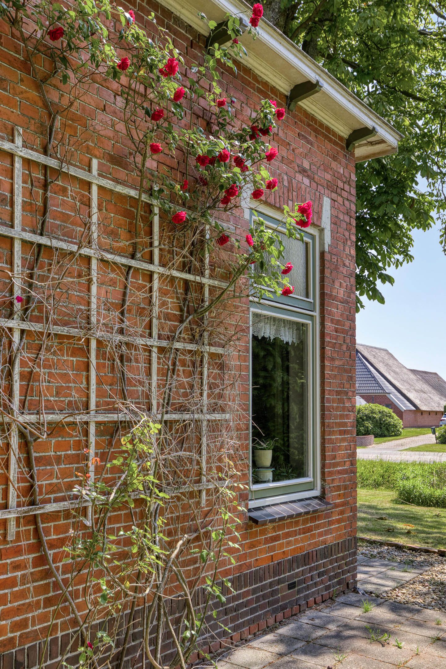 Foto 3 van De Holm 8