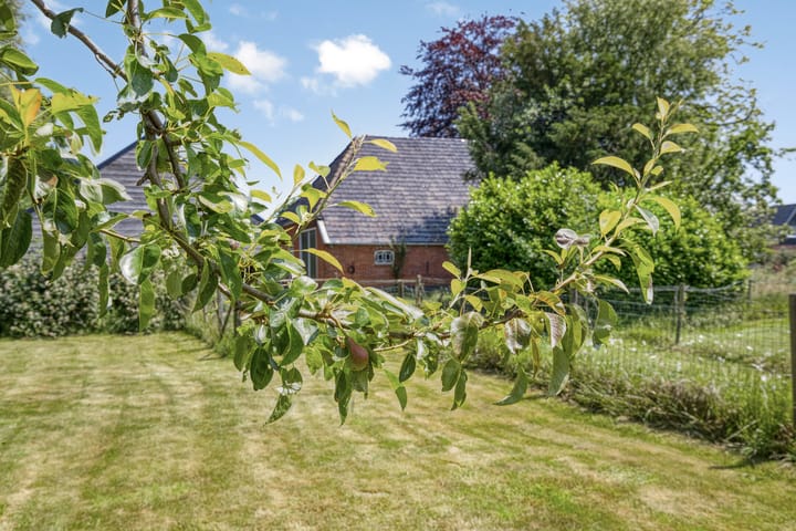 Foto 33 van De Holm 8