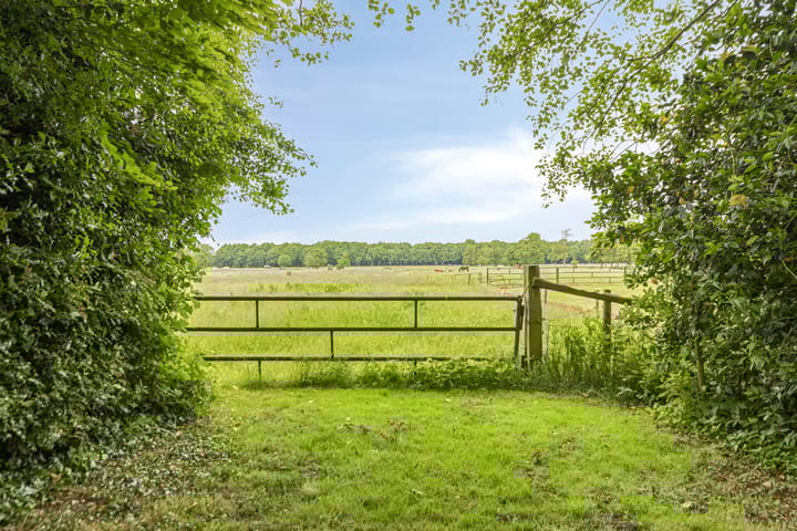 Foto 38 van De Holm 8