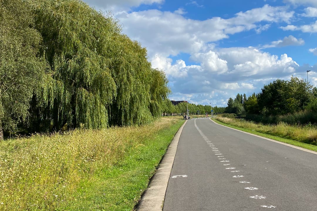 Foto 62 van Utrechtsestraatweg 32