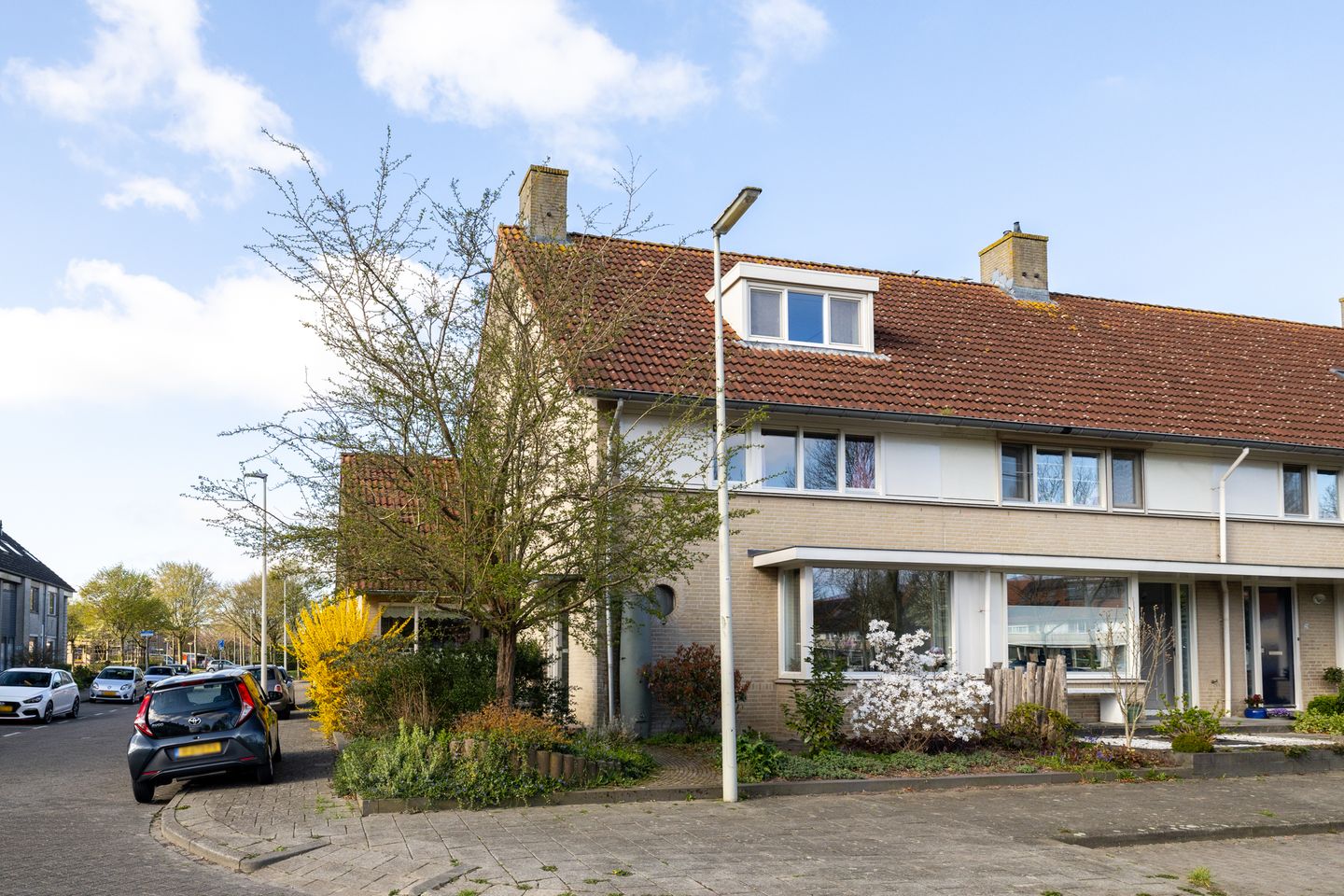 Foto 5 van Visarend 25