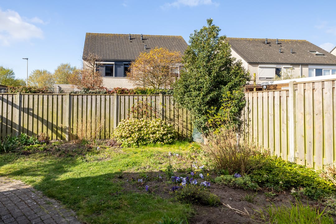 Foto 41 van Visarend 25