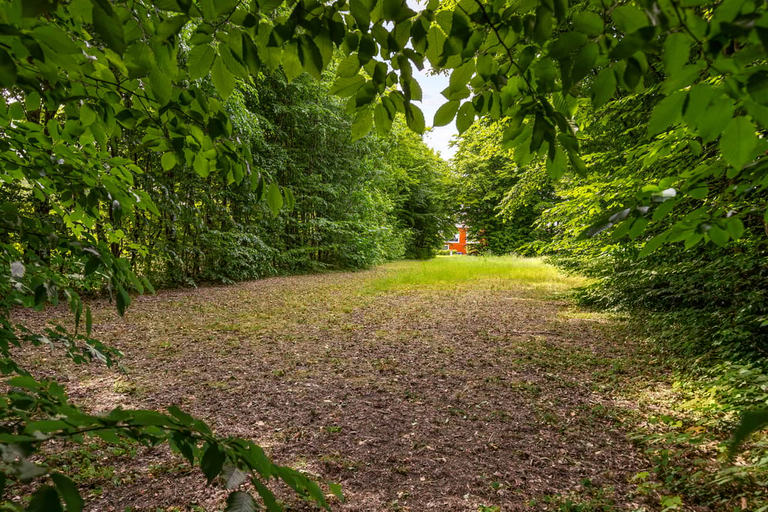 Foto 32 van Tuinderswerf 18