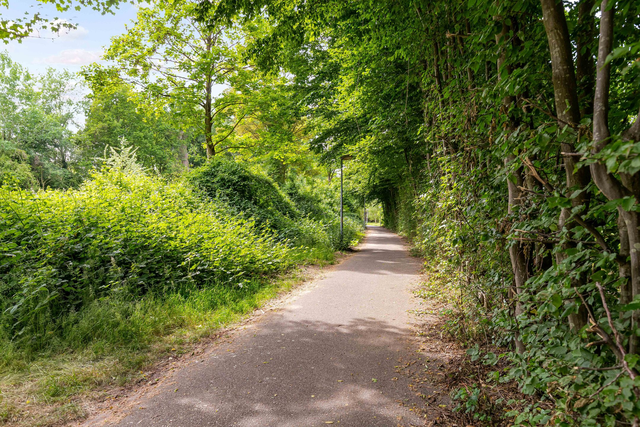 Foto 33 van Tuinderswerf 18