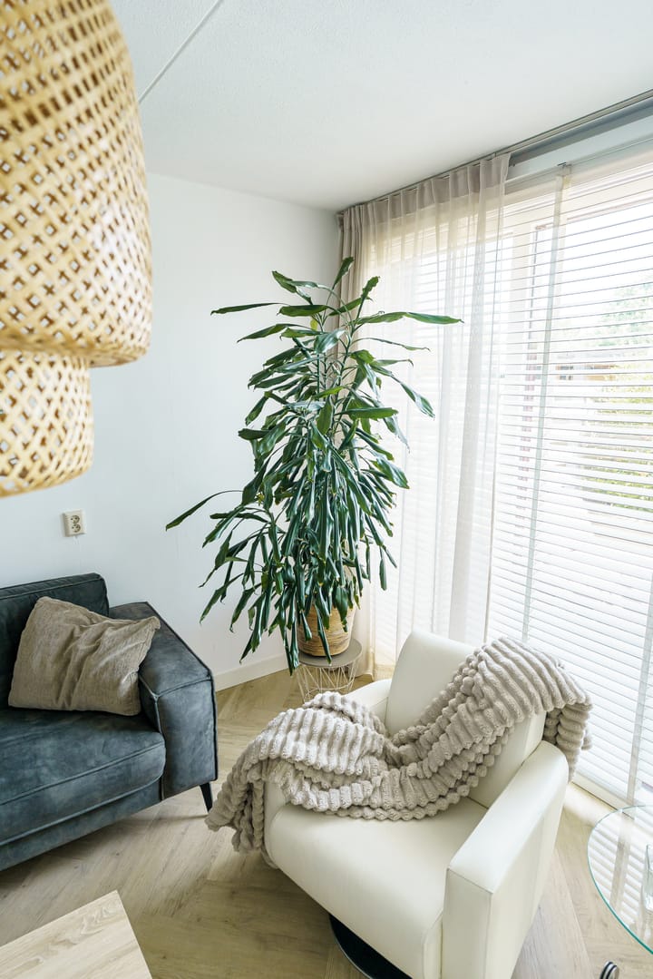 Foto 37 van Zonnehof 59