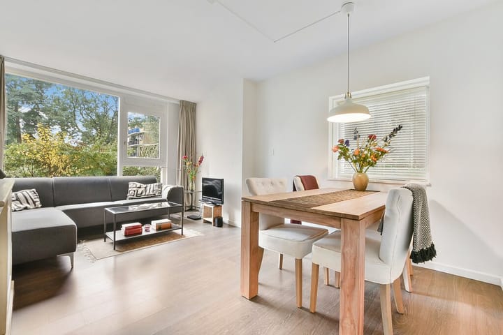 Foto 2 van Schierstins 153