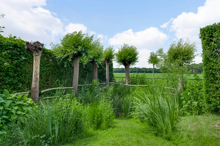 Foto 36 van Dorpstraat 58