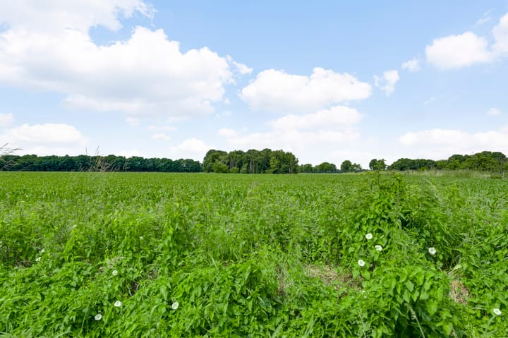 Foto 42 van Dorpstraat 58